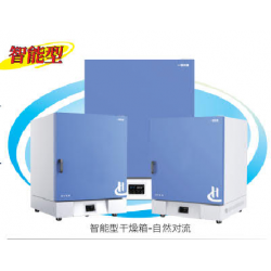DHG-9031T自然对流干燥箱
