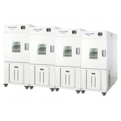 BPH-250C高低温试验箱