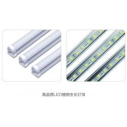 MGC-450HP-2LLED人工气候箱用