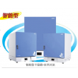 DHG-9201T自然对流干燥箱